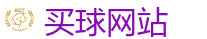 买球网站_2026世界杯专业体育赛事投注平台